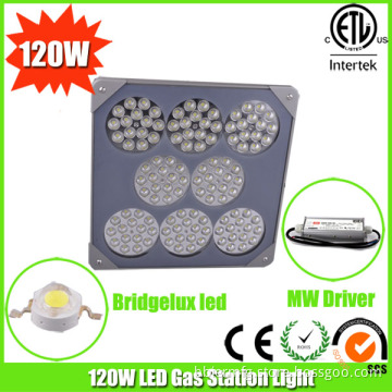 Explosion Proof High Power 120W Gas Station Light